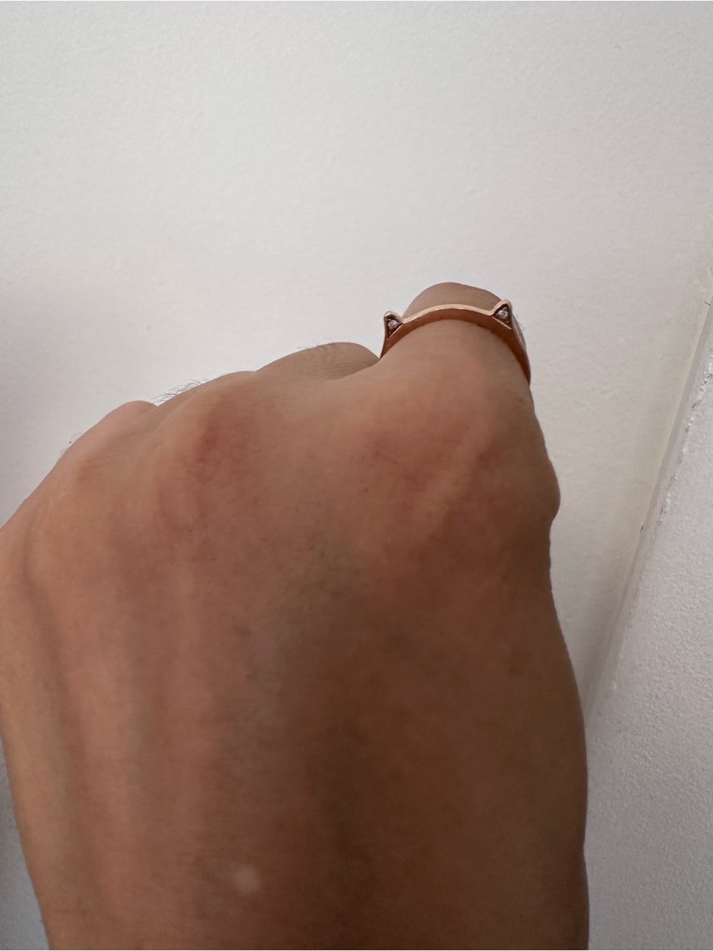 Solid Rose Gold Cat Ear Ring with diamonds
Purchased from Zales